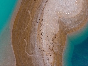 Peninsula Valdes, Argentina