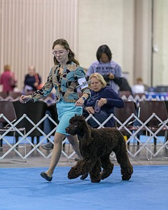 10 - Poole's Ide Touch Of Mink (Darla)