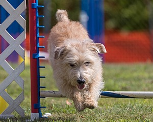 20200819-1041.jpg