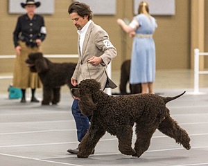 201 - CH Realta & Sycomore O’Boy