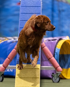 20260221-0916.jpg