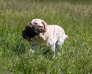 20210606-SEAL-1429.jpg