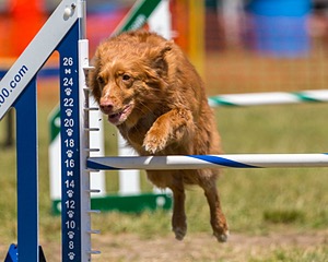20180617-1429.jpg