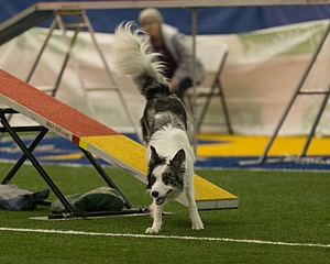 20150321-LEAP-0559.jpg