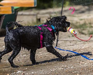 Penny Toby-Ann