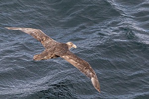 20260325-0037.jpg