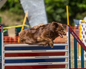 20160619-CCKC-1323.jpg