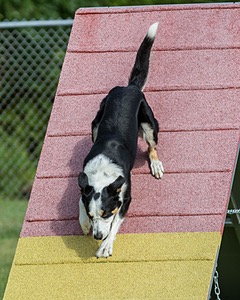20200819-0528.jpg