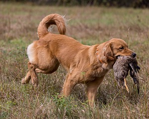 Maddie Davis