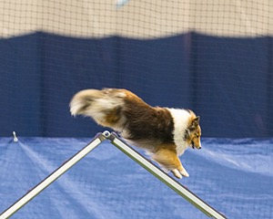20150321-LEAP-1716.jpg