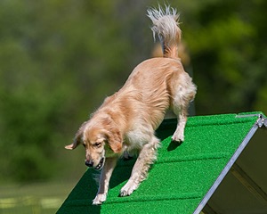 Ollie Erbe
