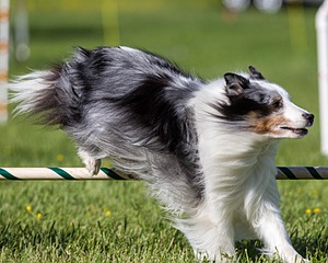 20170520-NEAT-2715.jpg