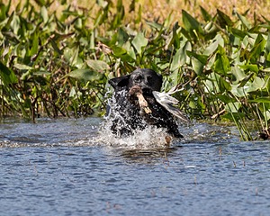 20160924-SHW-0069.jpg