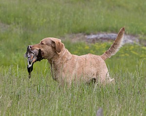 20080531-HRL-0008.jpg