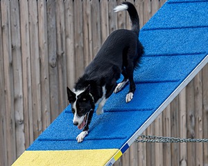 Fern Keenan
