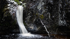 DSC08923.jpg
