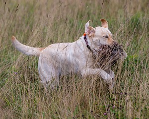 20180804-JHL-0011.jpg