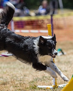 20160618-CCKC-1573.jpg