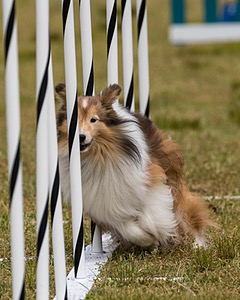 20190616-CCKC-1124.jpg