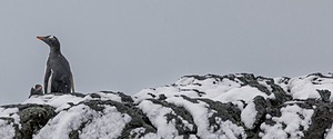 20260321-0254.jpg