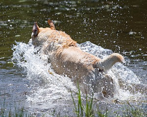 20130714-MHB2-0033.jpg
