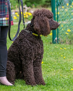 20190512-BD-0027.jpg