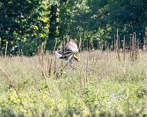 20160925-C-0036.jpg