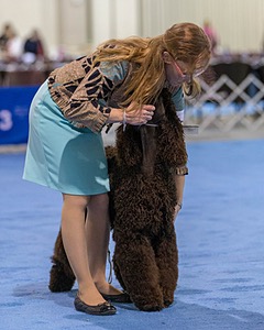 10 - Poole's Ide Touch Of Mink (Darla)