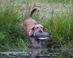 20130713-MHB2-0307.jpg
