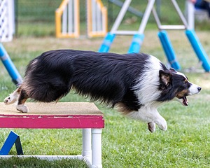 20200819-2788.jpg