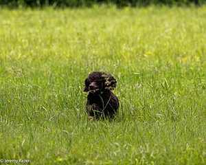 20220613-WD-0369.jpg