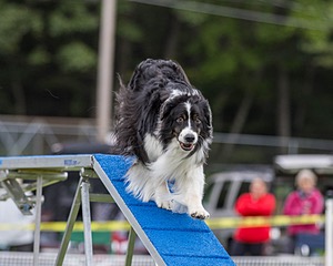 20230916-PVKC-0316.jpg