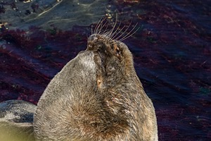 20191218-1167.jpg