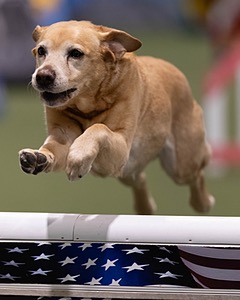 20260221-0112.jpg