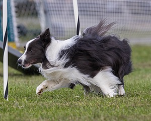 20230917-PVKC-2768.jpg