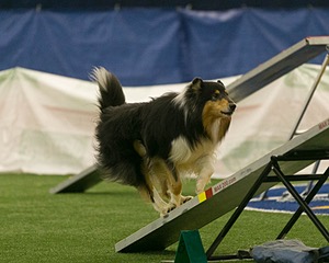 20150321-LEAP-0647.jpg