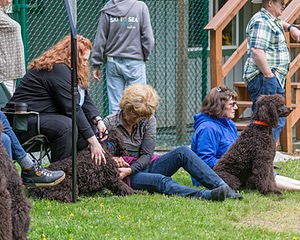 20190512-BD-0144.jpg