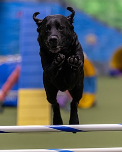 20260221-0908.jpg