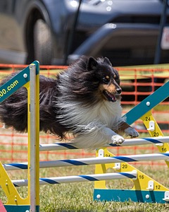 20180616-1242.jpg