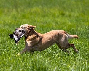 20240720-MH1-0649.jpg