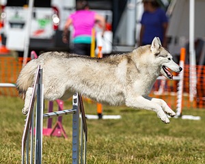20180617-1689.jpg