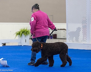 R10 - BALLYHOO'S V FINNEGAN MCNEILL BN FDC CA BCAT DS DJ CGCA TKN VHMA