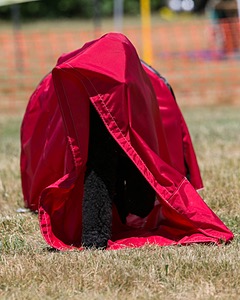 20150613-CCKC-0255.jpg