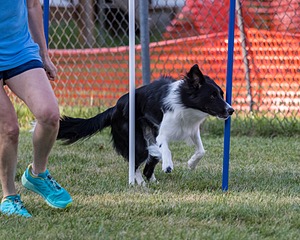 20200819-3019.jpg