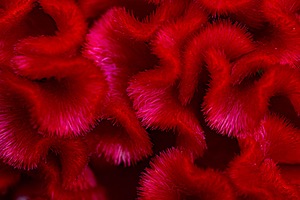 20240907-0009.jpg