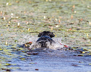 20160717-WCXW-0003.jpg