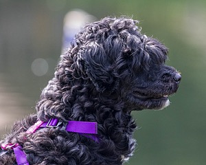 Winnie Lattrell