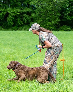 20170603-SHRL-0897.jpg