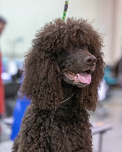 20190111-ASC-0018.jpg