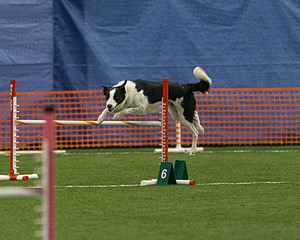 20150321-LEAP-0450.jpg